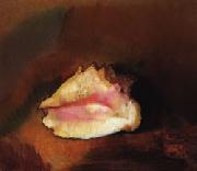 Odilon Redon The Shell Germany oil painting reproduction